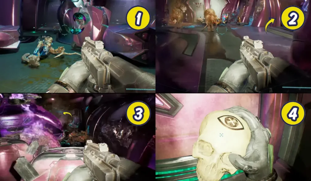 Halo Campaign Evolved