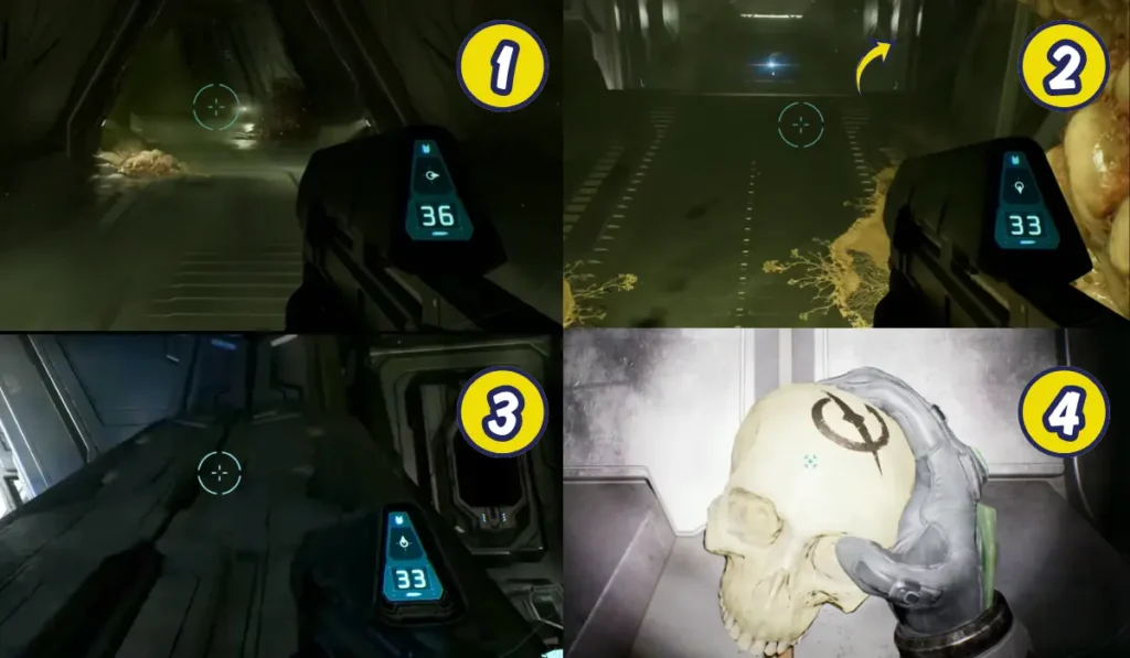Halo Campaign Evolved
